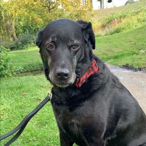 Meet your Posher, Jamie